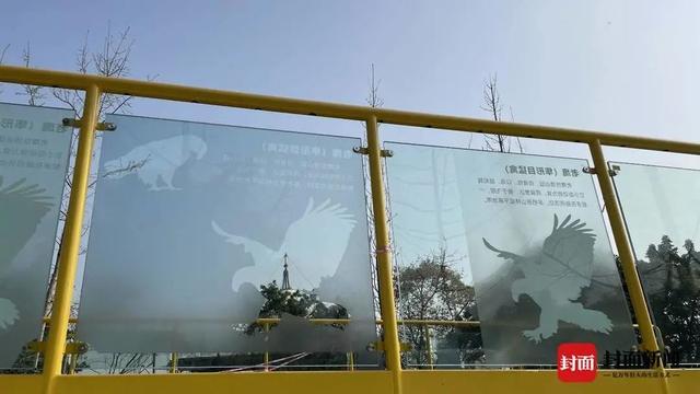 南京一大桥玻璃墙频现撞鸟事件，生态与城市发展的碰撞