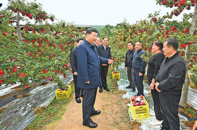 乡村振兴新篇章，习近平强调教育优先，全村最好的房子是学校