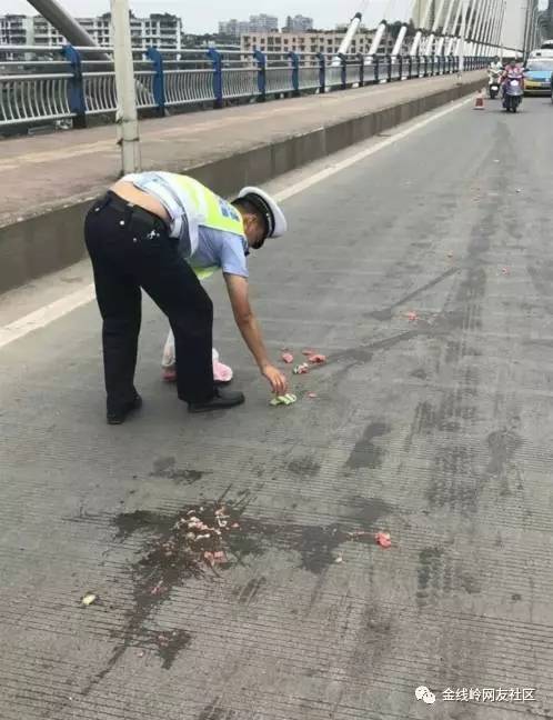 天津马路惊现螃蟹大军，市民捡拾乐翻天，背后原因引人深思