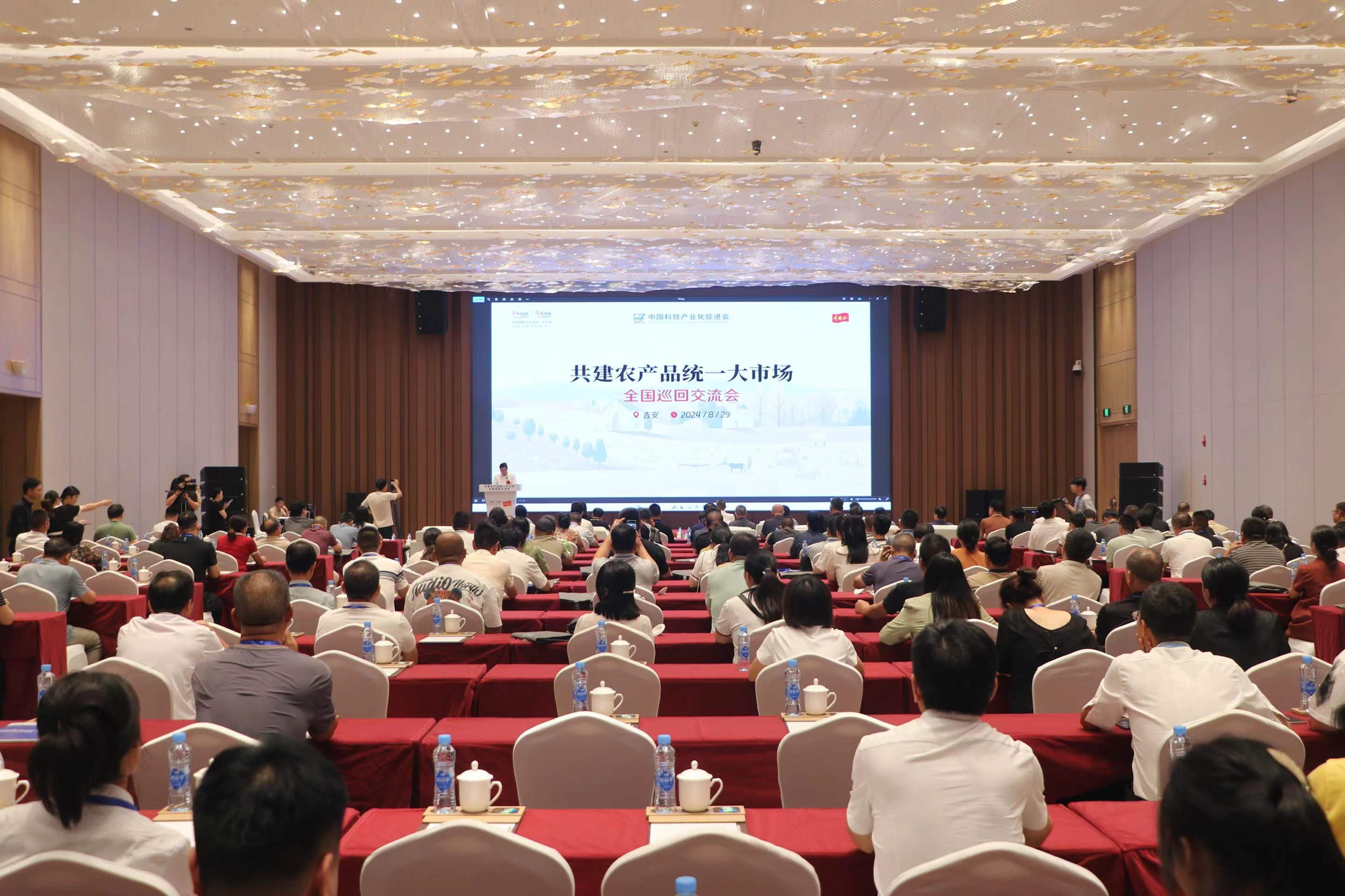 总书记部署全国统一大市场建设，广东自媒体视角下的解读与展望