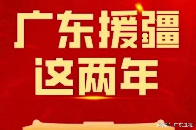 广东自媒体达人揭秘，柯尔鸭身价暴跌背后的故事