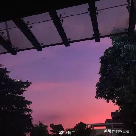 台风前夕的珠海晚霞，自然之美与城市坚韧的交响曲