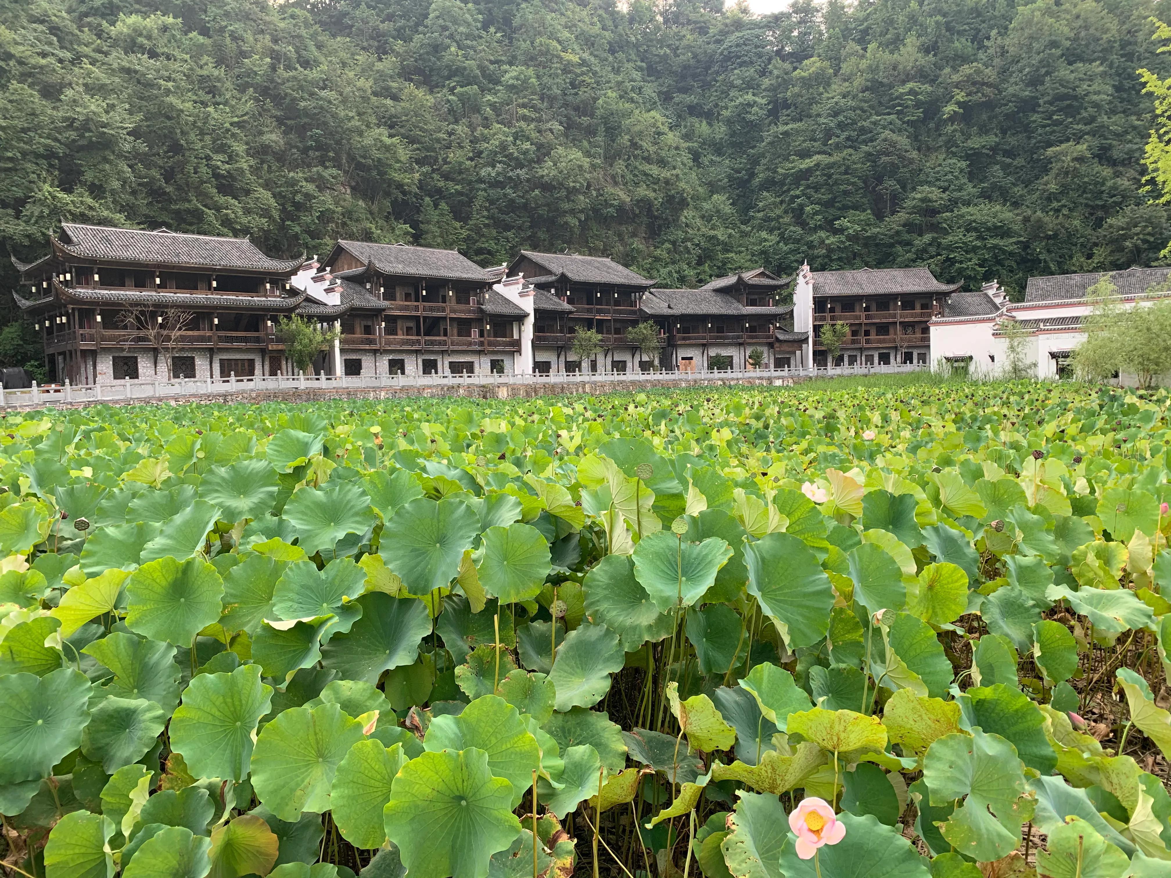 贵州天下第一水司楼，从文化遗产到现代酒店的华丽转身