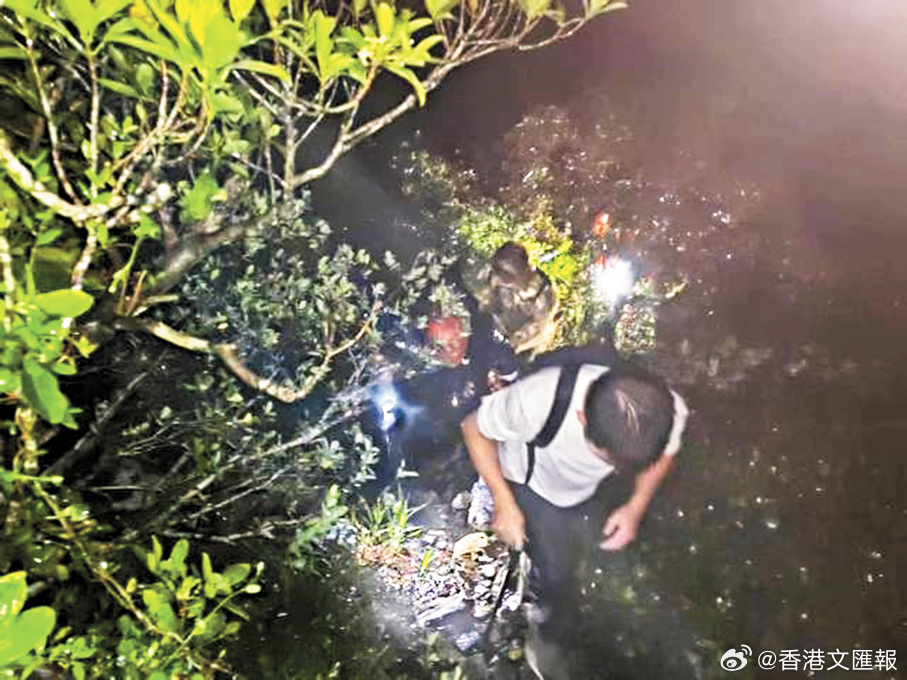台风天观浪，香港女子带孩子冒险被拘，安全教育刻不容缓