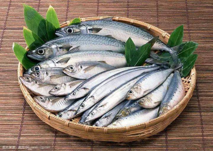 广东美食探秘国民廉价鱼带鱼，被低估的海洋瑰宝